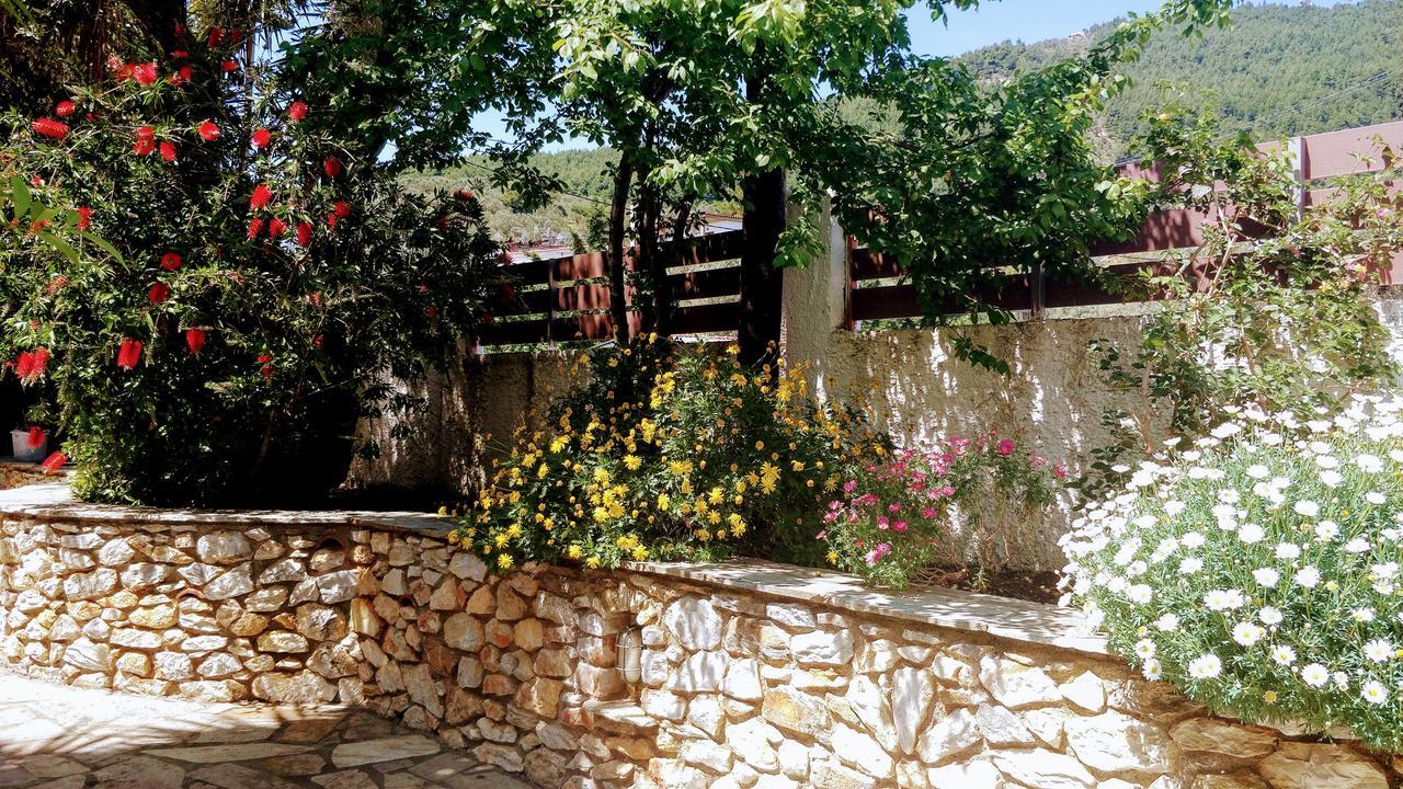 Maria Studios Skiathos Bagian luar foto